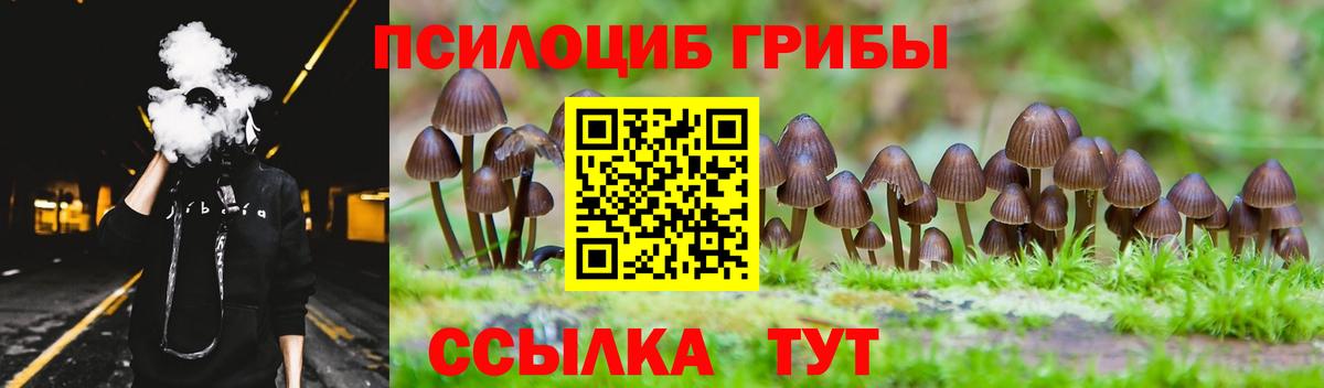 Раменское  Галлюциногенные грибы GOLDEN TEACHER  Вход с VPN 